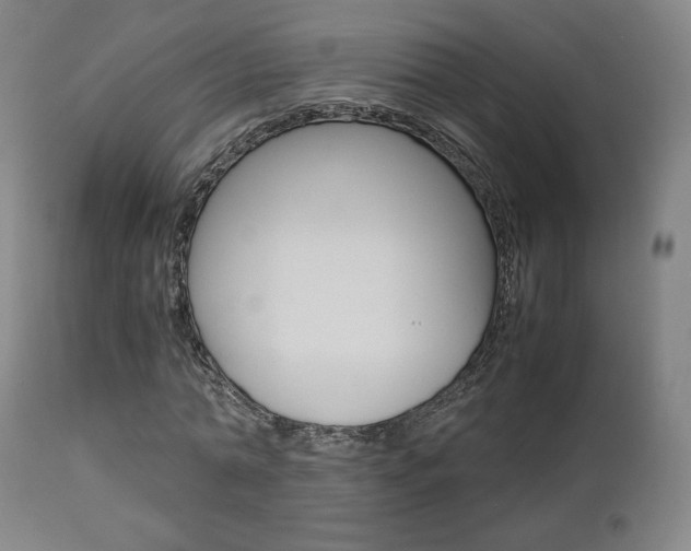 X0000112850774200908211030