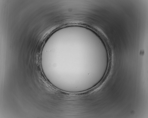 X0000112850777200908211030