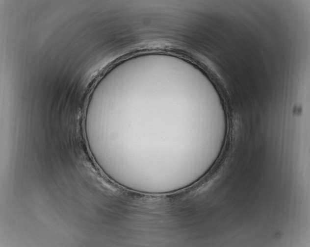 X0000112850778200908211030