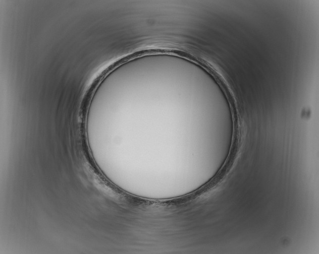 X0000112850779200908211030