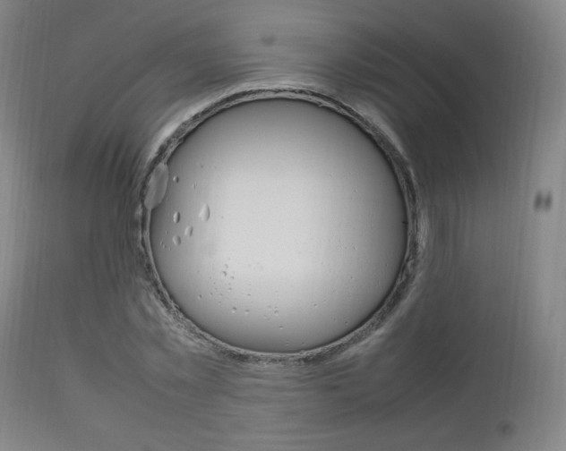 X0000112850781200908211030