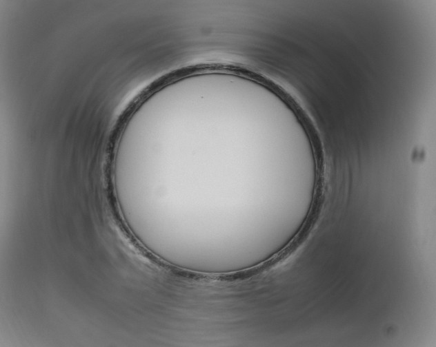 X0000112850783200908211030