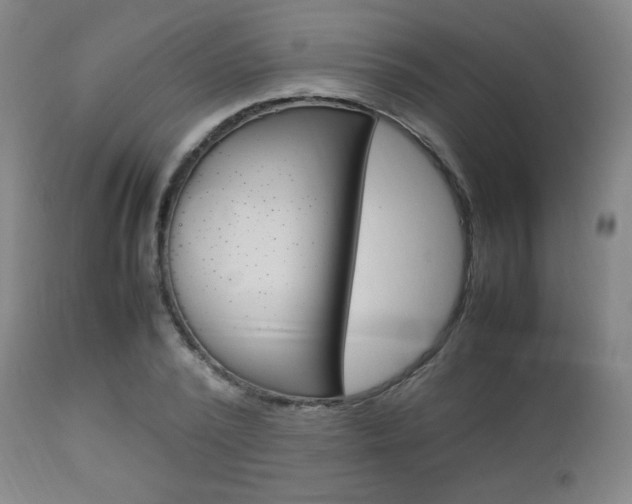 X0000112850784200908211030