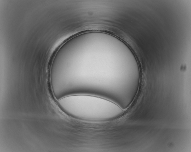 X0000112850787200908211030