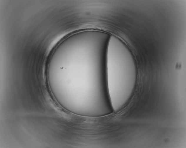 X0000112850788200908211030