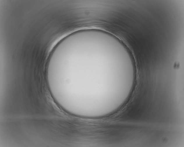 X0000112850789200908211030