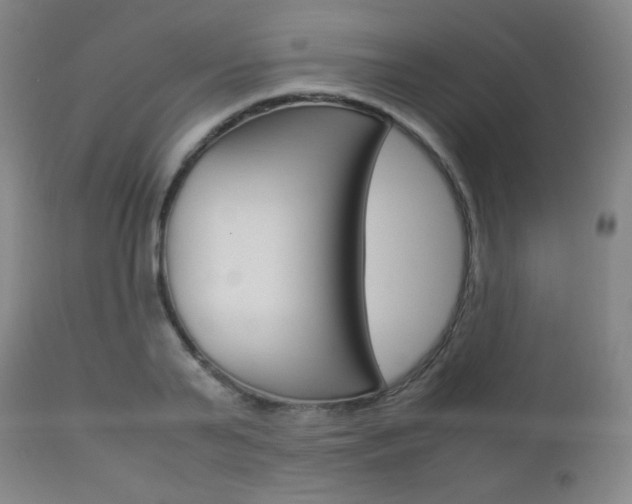 X0000112850791200908211029