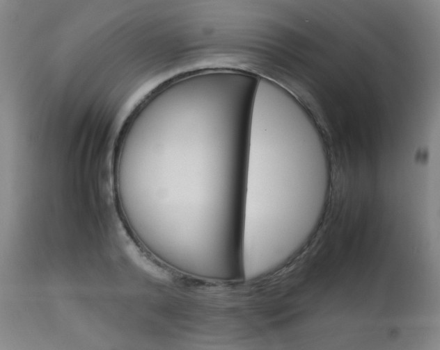X0000112850792200908211029