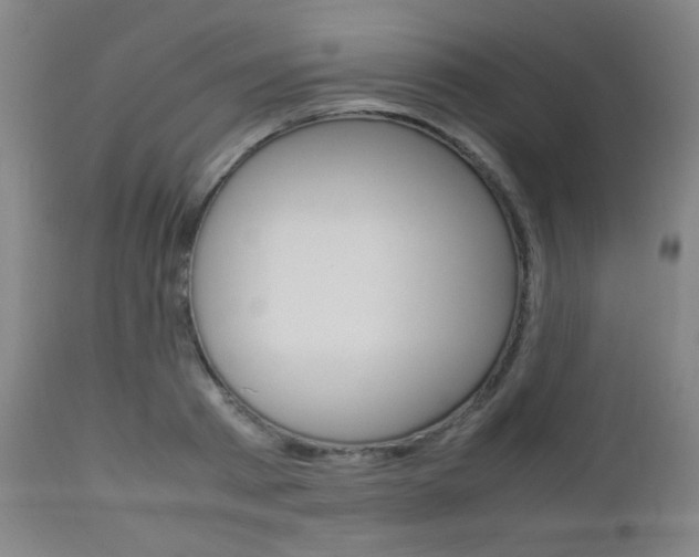 X0000112850793200908211029