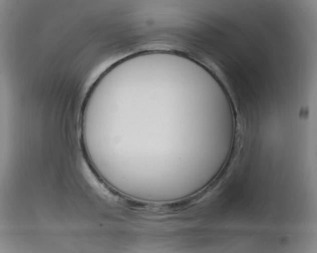X0000112850795200908211029