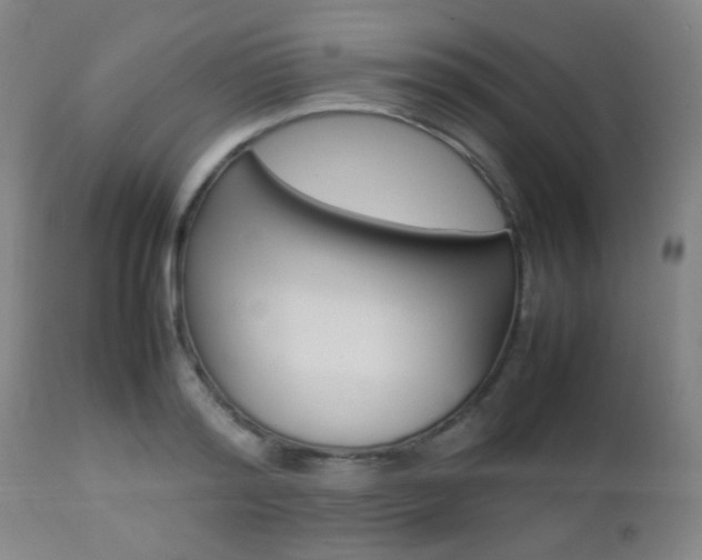 X0000112850796200908211029