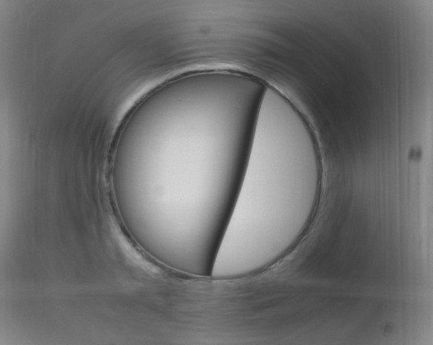 X0000112850797200908211029