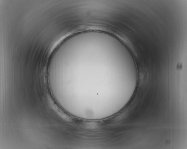 X0000112850798200908211029