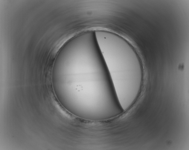 X0000112850801200908211029