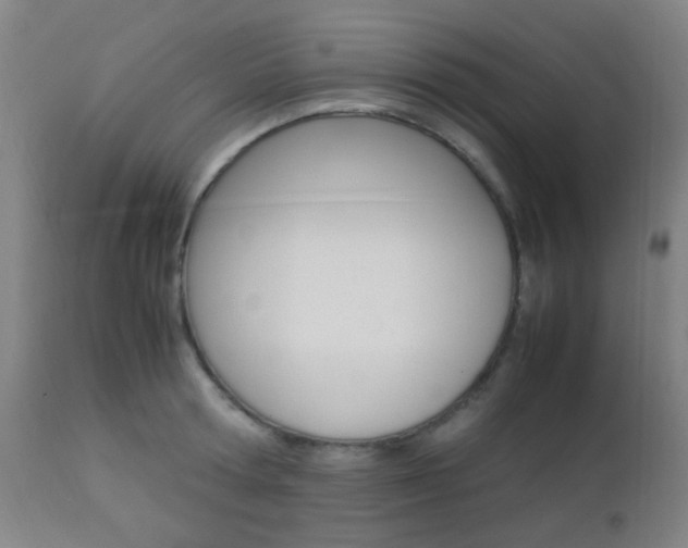 X0000112850802200908211029