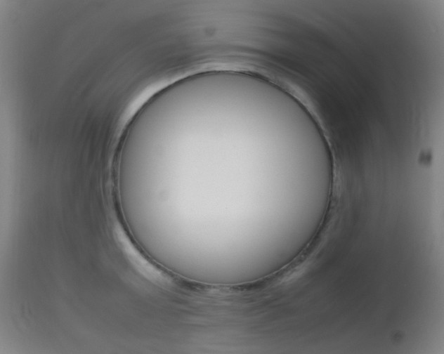 X0000112850803200908211029