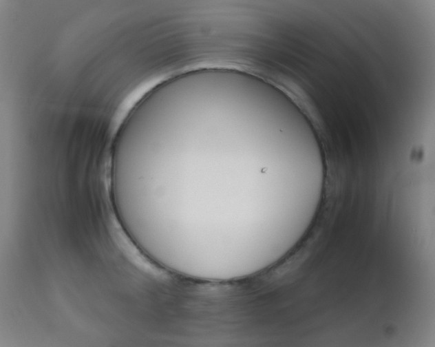 X0000112850804200908211029