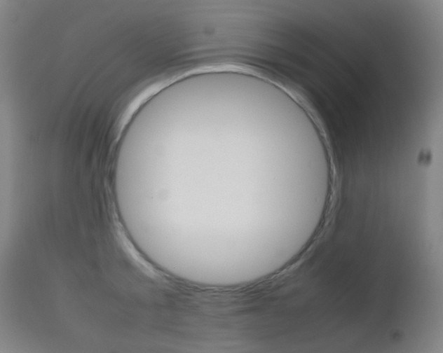 X0000112850805200908211029