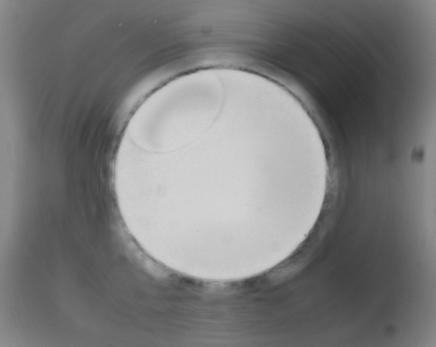X0000112850807200908211029