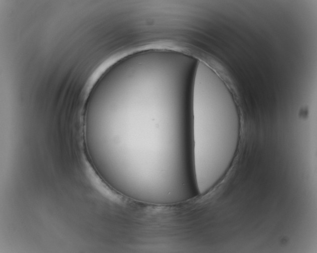 X0000112850808200908211029