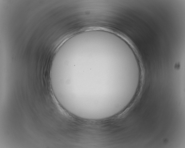 X0000112850809200908211029