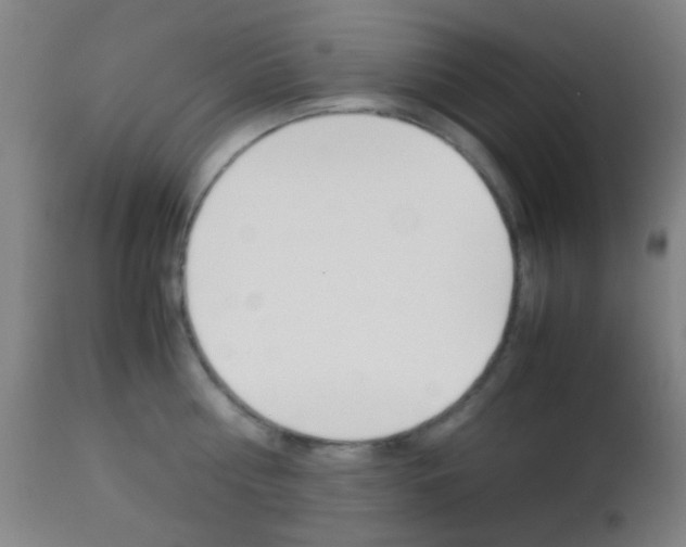 X0000112850810200908211029