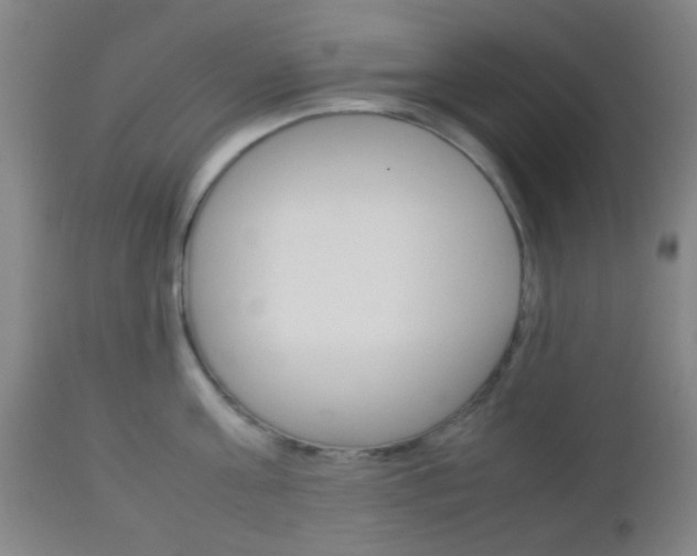 X0000112850811200908211029