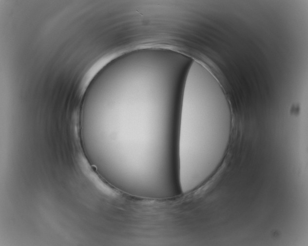 X0000112850812200908211029