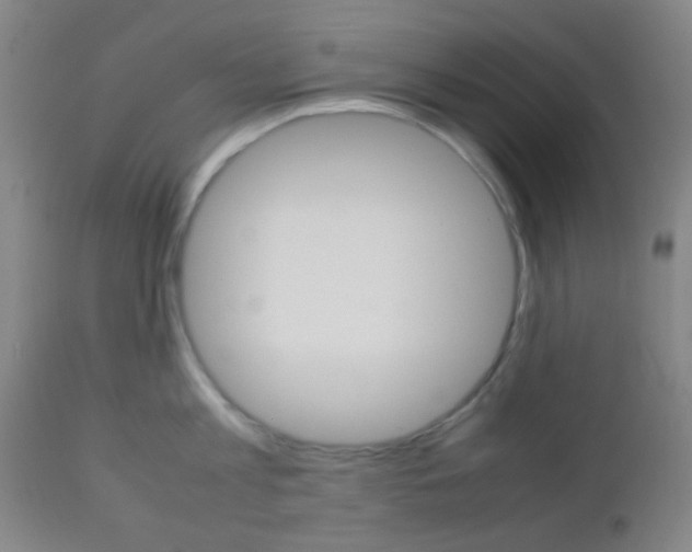 X0000112850813200908211029