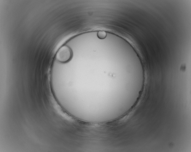 X0000112850814200908211029