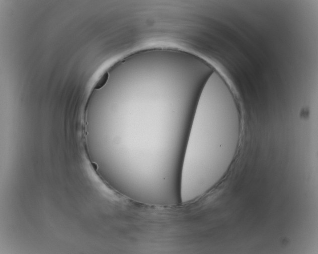X0000112850815200908211029