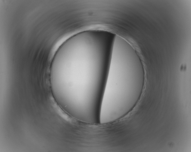 X0000112850816200908211029