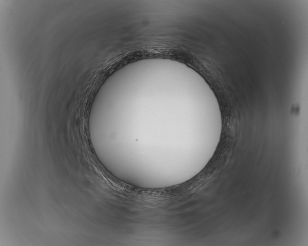 X0000112850817200908211028