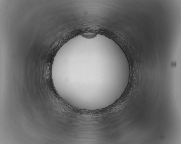 X0000112850818200908211028