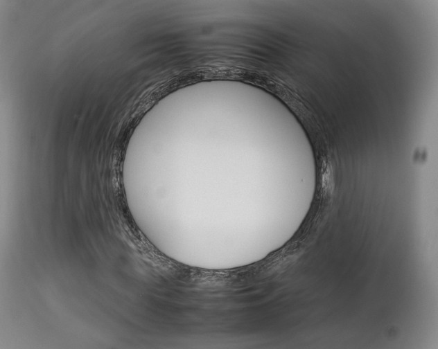 X0000112850819200908211028
