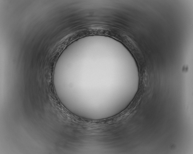 X0000112850821200908211028