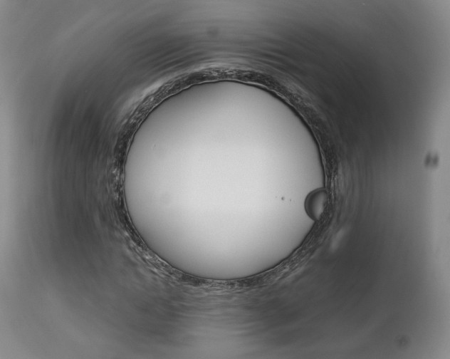 X0000112850822200908211028