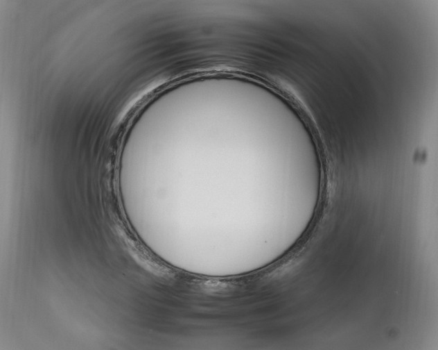 X0000112850827200908211028