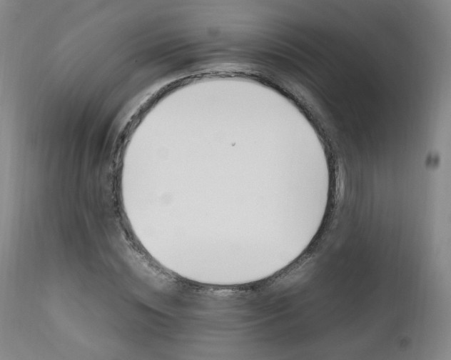 X0000112850828200908211028