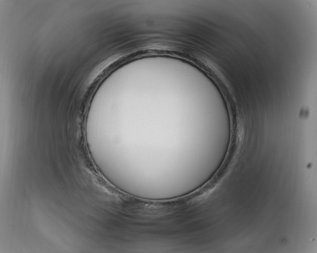 X0000112850829200908211028
