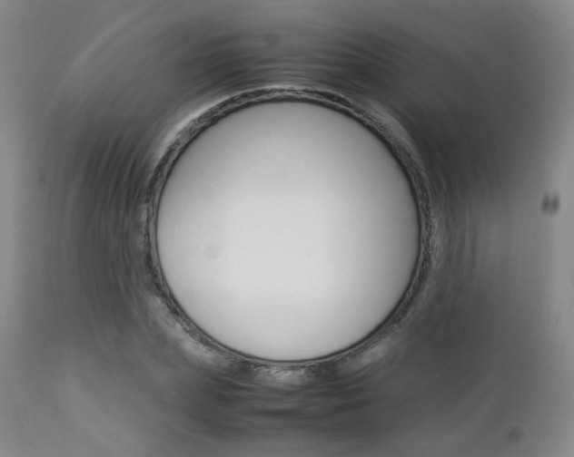 X0000112850831200908211029