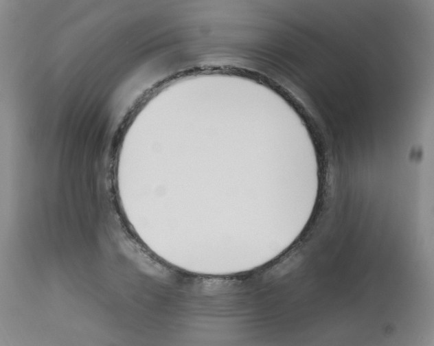 X0000112850832200908211029