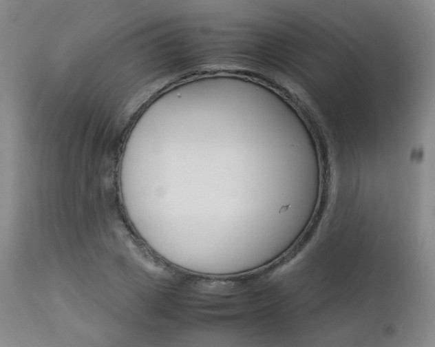 X0000112850833200908211029