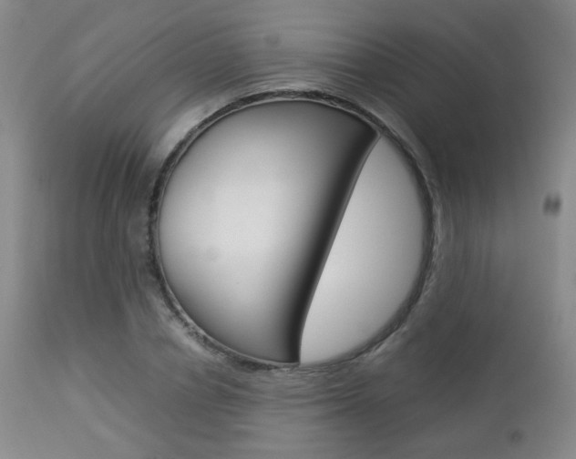 X0000112850834200908211029