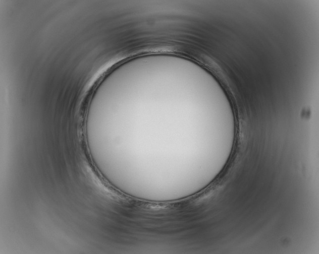 X0000112850835200908211029