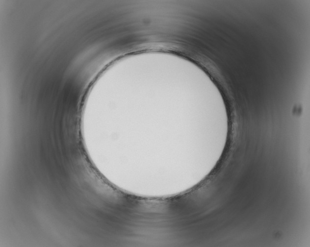 X0000112850836200908211029