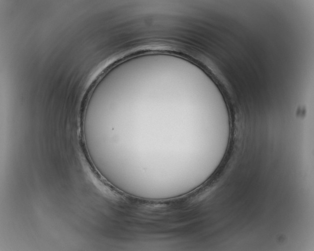 X0000112850837200908211029