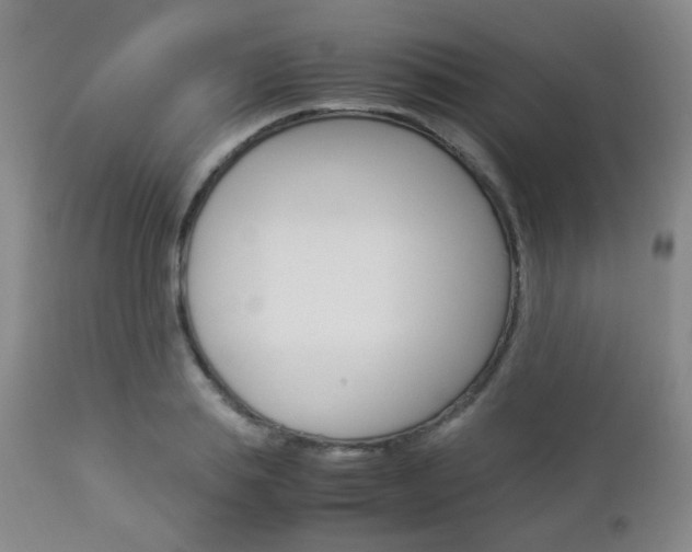 X0000112850839200908211029