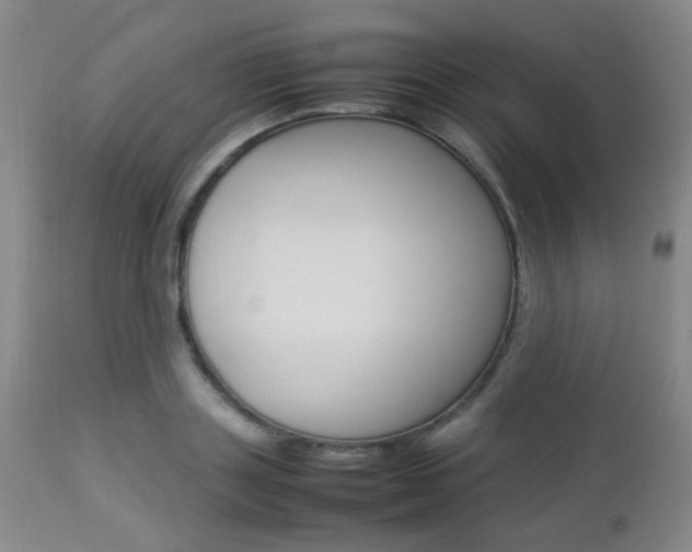 X0000112850843200908211029