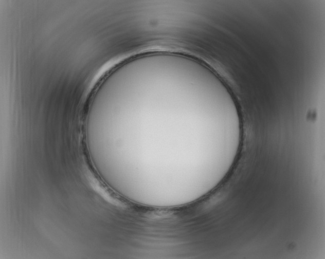 X0000112850846200908211029